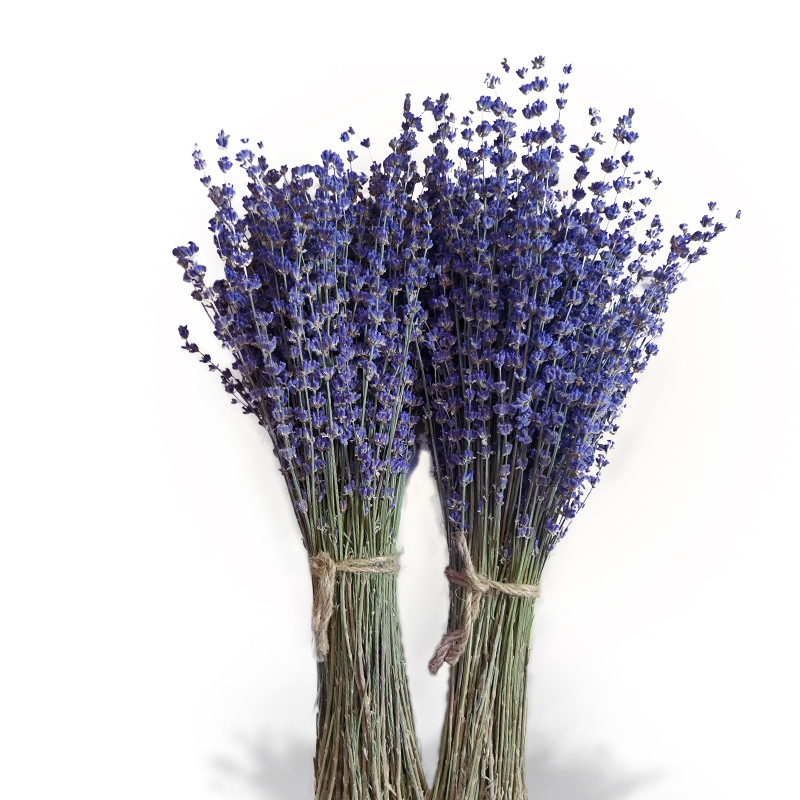 Xinjiang Yili Lavender Bouquet, Naturally Dried Lavender Dried Branches, Space Blue Aromatic Decor - Image 5