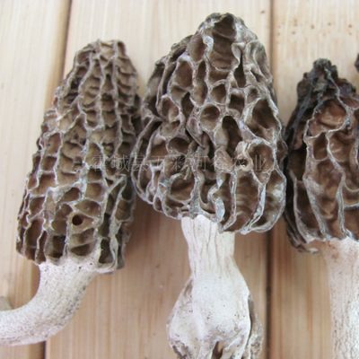 Xinjiang Wild Dried Morel Mushrooms, Edible Fungi for Soup and Wellness Cuisine, 100g Pack