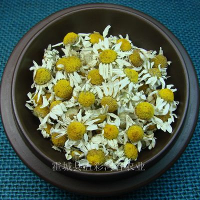 Dried Roman Chamomile Flowers for Aromatherapy Sachets, Xinjiang Natural Herbal Craft