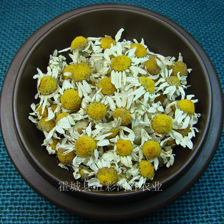Dried Roman Chamomile Flowers for Aromatherapy Sachets, Xinjiang Natural Herbal Craft