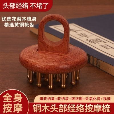 Brass Wooden Ring Massage Comb, Portable Handheld Meridian Brush for Scalp, Leg & Abdominal Self-Care