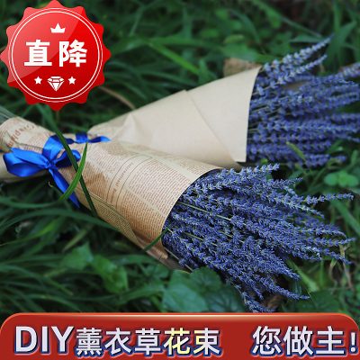 Xinjiang Yili Dried Lavender Bouquet, Natural Air-Dried Spike Lavender, Aromatic Home Decor