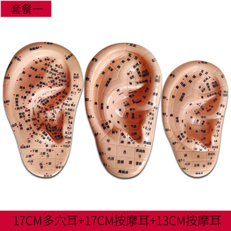 PVC Ear Acupoint Model for Wellness Routines, 17cm Acupressure Ear Map Massage Tool - Image 4