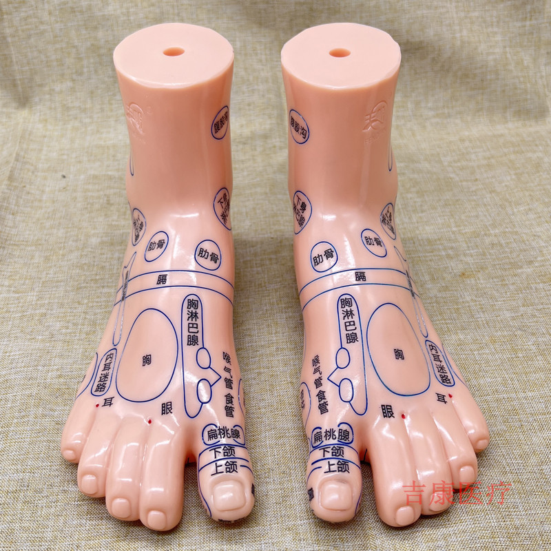 Ear Acupoint Model for Acupressure Massage Self-Care Routine, 13 cm PVC Reflexology Study Tool - Image 2