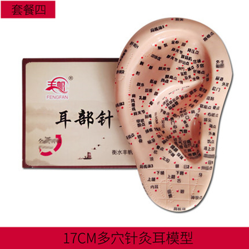 PVC Ear Acupoint Model for Wellness Routines, 17cm Acupressure Ear Map Massage Tool - Image 2
