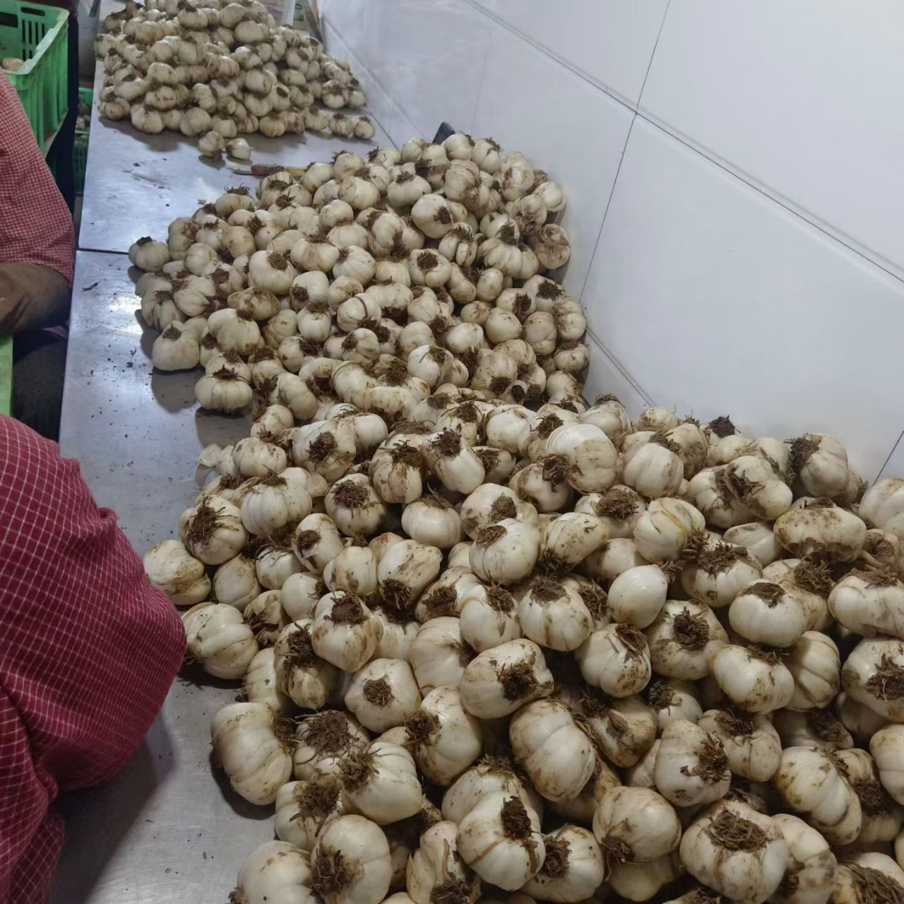 Fresh Lilies, Fresh Premium Edible Sweet Fruit Lilies, Grown in High Altitudes in Gansu, Lanzhou Lilies - Image 4
