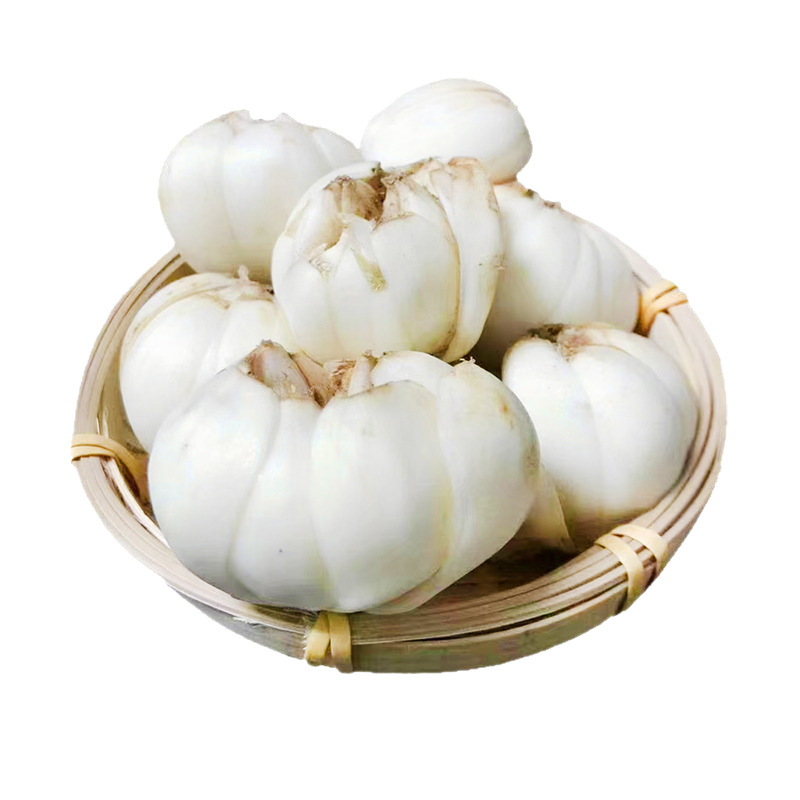 Fresh Lilies, Fresh Premium Edible Sweet Fruit Lilies, Grown in High Altitudes in Gansu, Lanzhou Lilies - Image 5