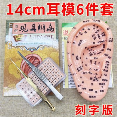 Ear Acupoint Model with Probe for Ear Seed Application, Traditional Wellness Learning Tool