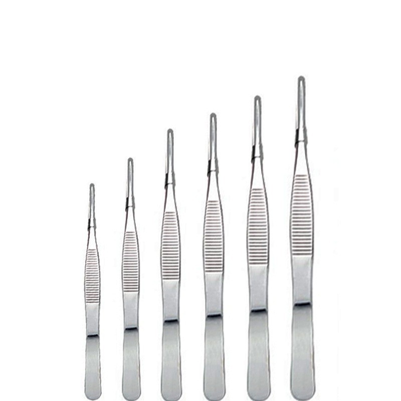 Stainless Steel Precision Tweezers for Home Wellness and Personal Care, Straight and Curved Tips - Image 2