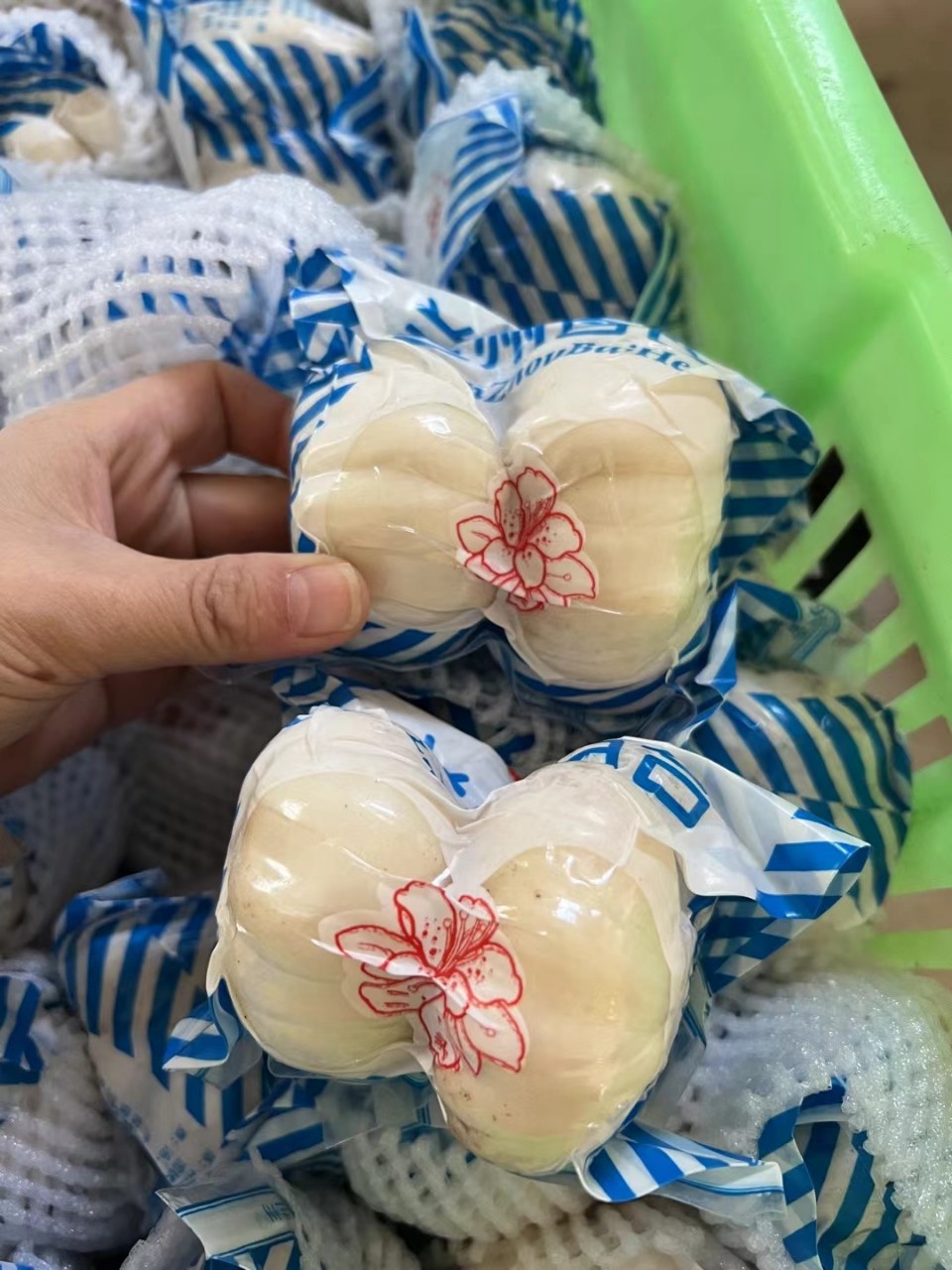 Fresh Lilies, Fresh Premium Edible Sweet Fruit Lilies, Grown in High Altitudes in Gansu, Lanzhou Lilies - Image 2