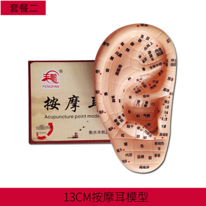 PVC Ear Acupoint Model for Wellness Routines, 17cm Acupressure Ear Map Massage Tool - Image 5