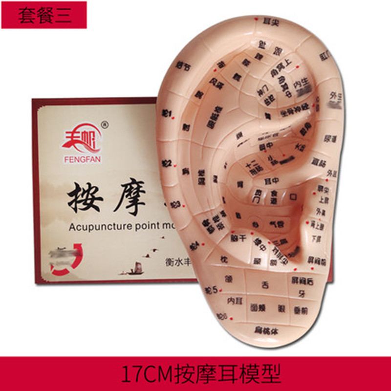 PVC Ear Acupoint Model for Wellness Routines, 17cm Acupressure Ear Map Massage Tool - Image 3