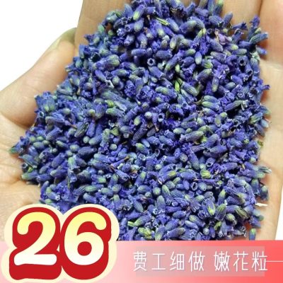 Xinjiang Yili Dried Lavender Flower Buds Sachet Filling, Natural Aromatic Home Wellness Accessory