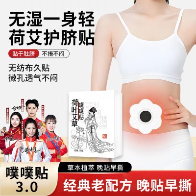 Lotus Leaf Mugwort Patch for Navel, Acupoint Patch for Waist and Abdomen, Mugwort Navel Patch, Lotus Leaf Mugwort Patch, Herbal Patch Source