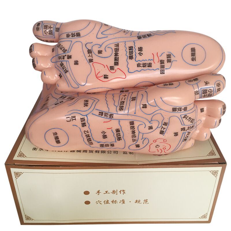 Foot Acupoint Reflexology Model with Clear Markings, Foot Reflex Zone Massager, Acupoint Stick, PVC Foot Model for Home Wellness Routine - Image 3