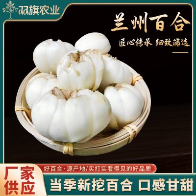 Fresh Lilies, Fresh Premium Edible Sweet Fruit Lilies, Grown in High Altitudes in Gansu, Lanzhou Lilies