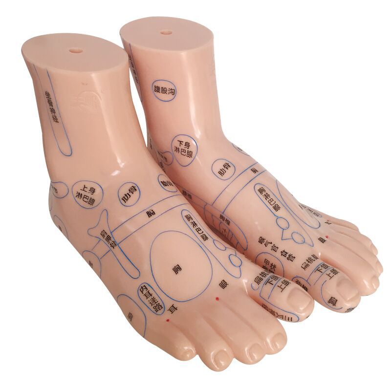 Foot Acupoint Reflexology Model with Clear Markings, Foot Reflex Zone Massager, Acupoint Stick, PVC Foot Model for Home Wellness Routine - Image 2