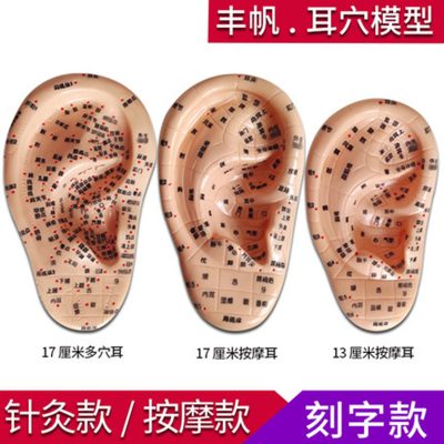 PVC Ear Acupoint Model for Wellness Routines, 17cm Acupressure Ear Map Massage Tool