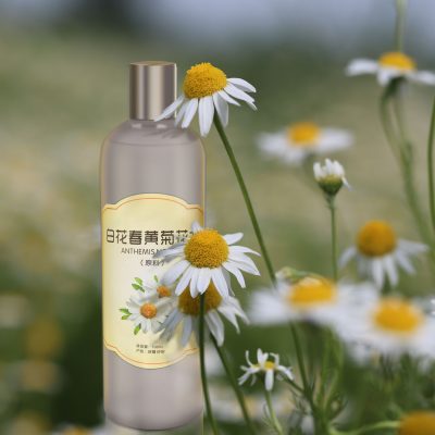 Supply Xinjiang Roman chamomile pure Dew, chamomile flower water 500ml distilled flower water are saturated pure Dew