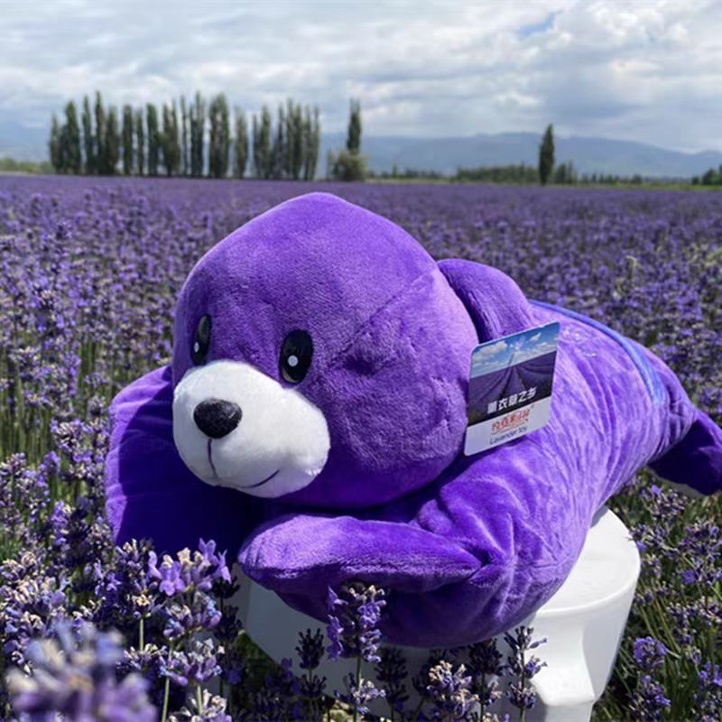 Lavender Buckwheat Neck Pillow, Aromatherapy Flower Herbal Cylinder for Home Relaxation - Image 2