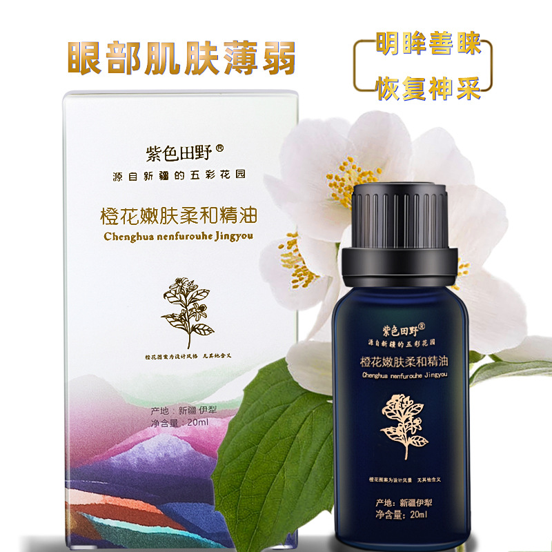 Moisturizing Rose Essential Oil for Face & Body, Damascus Rose Massage Oil, Natural Nourishing Brightening Skin Care - Image 2