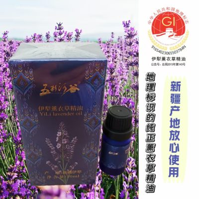 Xinjiang Yili Lavender Essential Oil, 100ml Pure Single-Note Aromatherapy Oil for Skin Care, Massage, and Soap Making
