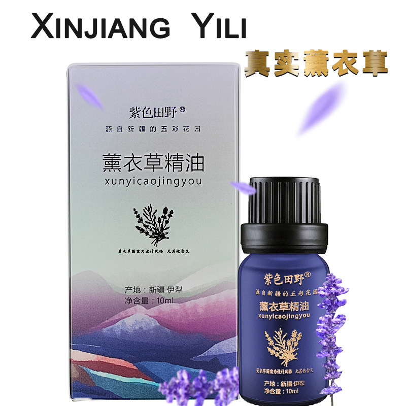 Xinjiang Happy Sage Essential Oil Rosemary Snow Chrysanthemum Unilateral Plant Origin Essential Oil 10ml - Image 3