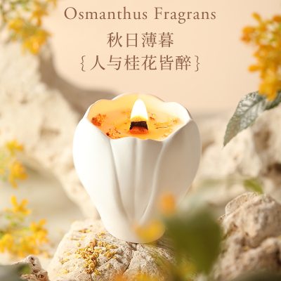Aromatherapy Candle Gift Box, High-End Soy Wax Fragrance, Long-Lasting Home Decoration for Women, Birthday and Wedding Ornaments, Souvenir Gifts