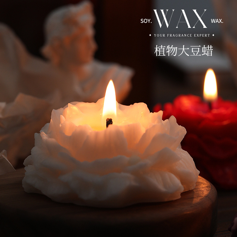 Aromatherapy Candles, High-End Indoor Long-Lasting Soy Plant Fragrance, Engagement, Wedding, Birthday Souvenirs, Ornaments Wholesale - Image 3